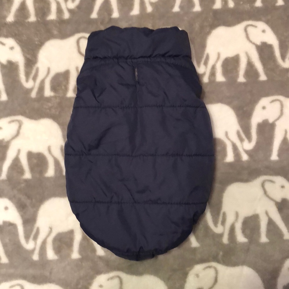 Blue fluffy vest